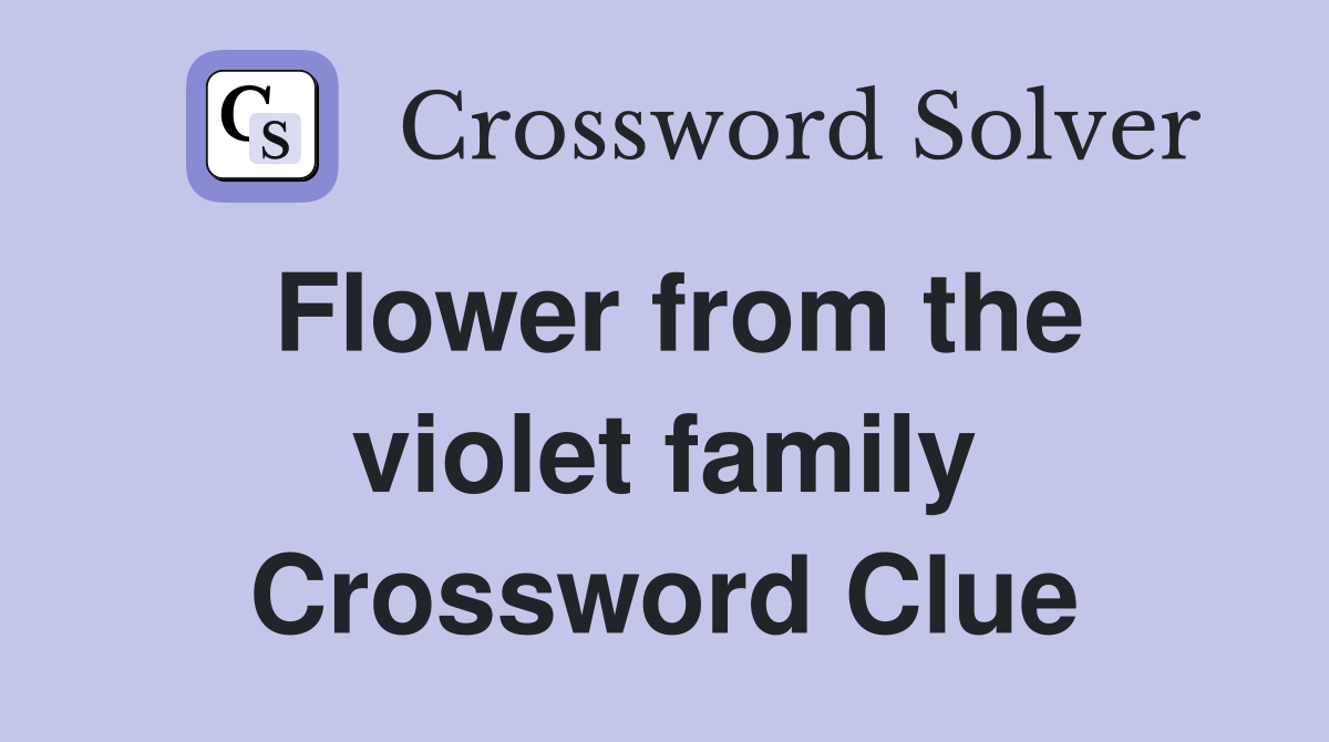 Flower from the violet family Crossword Clue