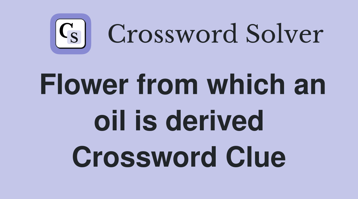 Flower from which an oil is derived Crossword Clue