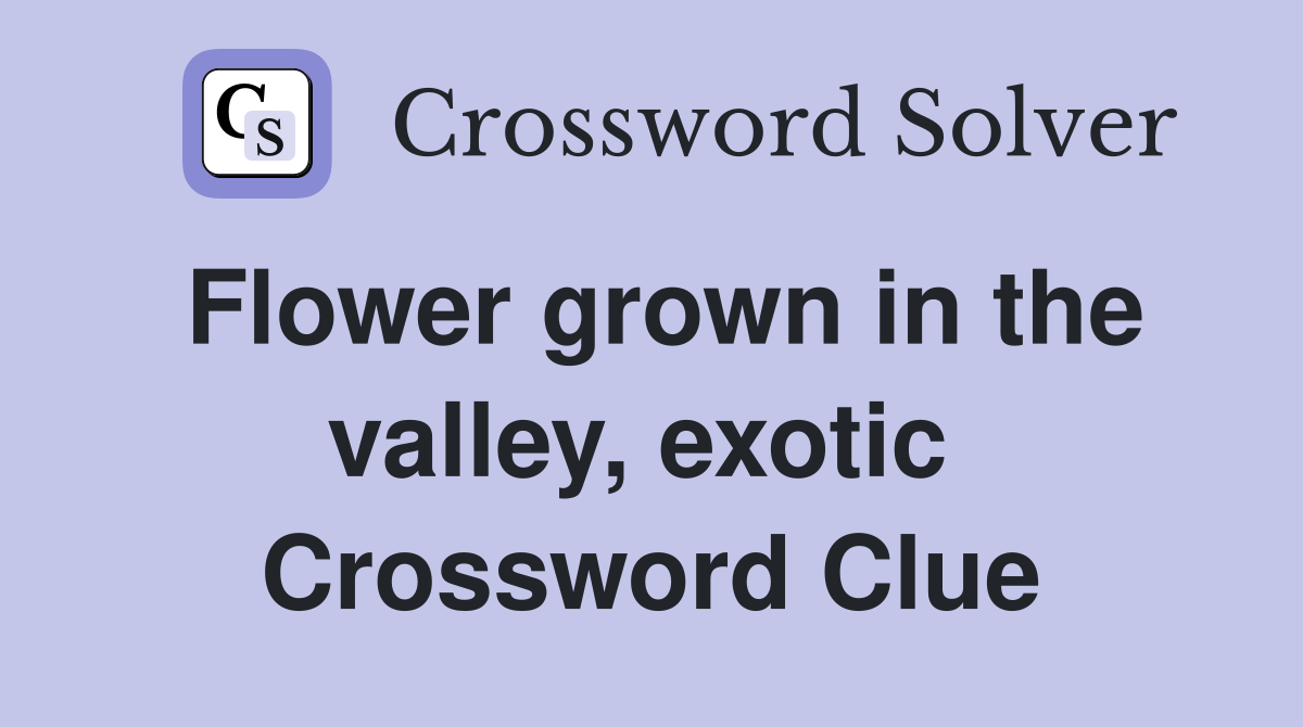 Flower grown in the valley, exotic  Crossword Clue