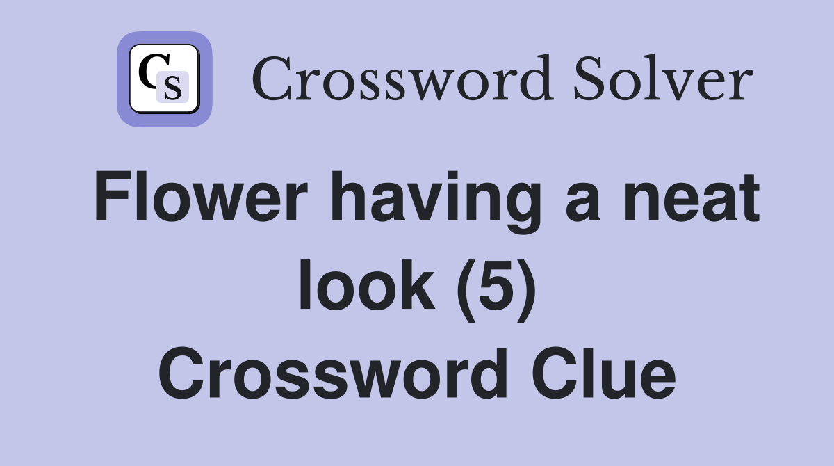 Flower having a neat look (5) Crossword Clue