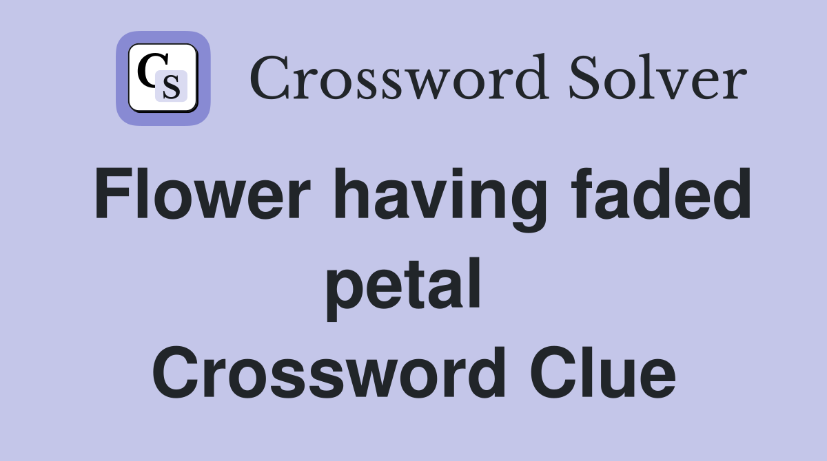 Flower having faded petal  Crossword Clue