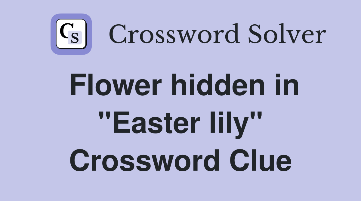 Flower hidden in "Easter lily" Crossword Clue
