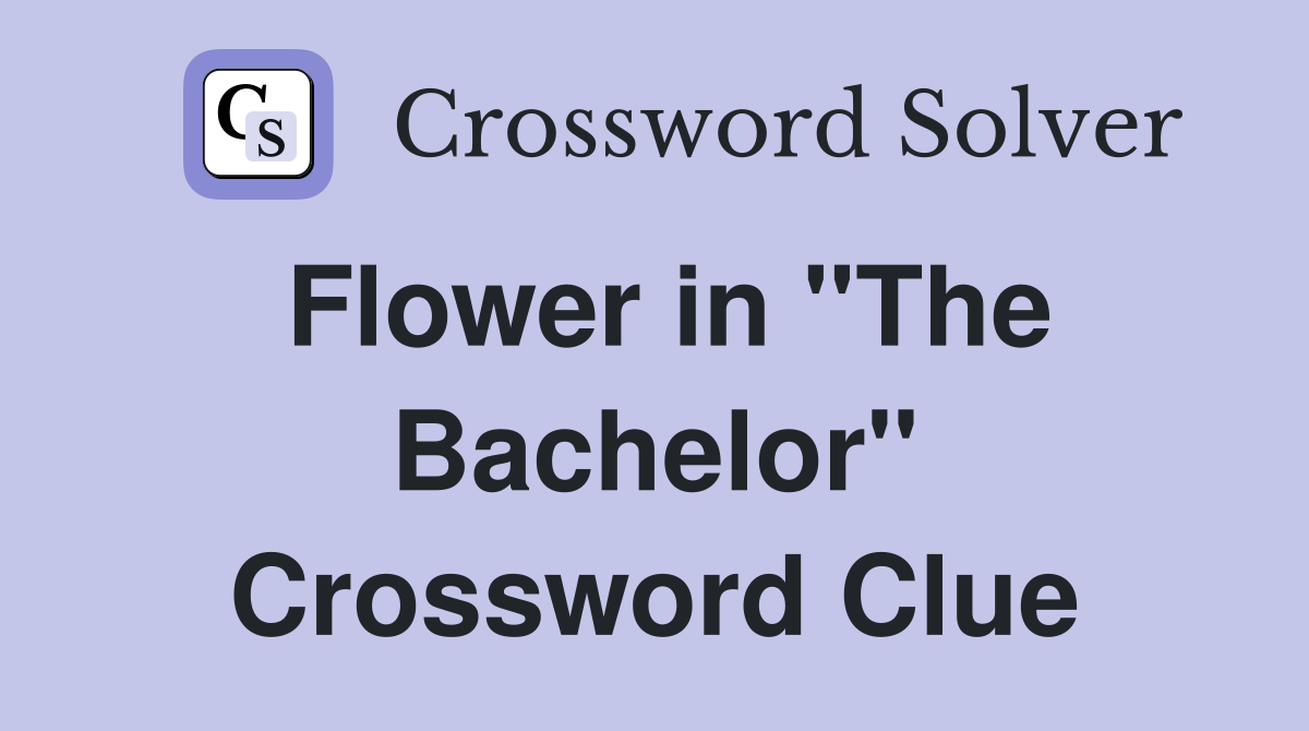 Flower in "The Bachelor" Crossword Clue