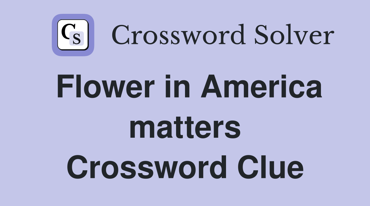 Flower in America matters Crossword Clue