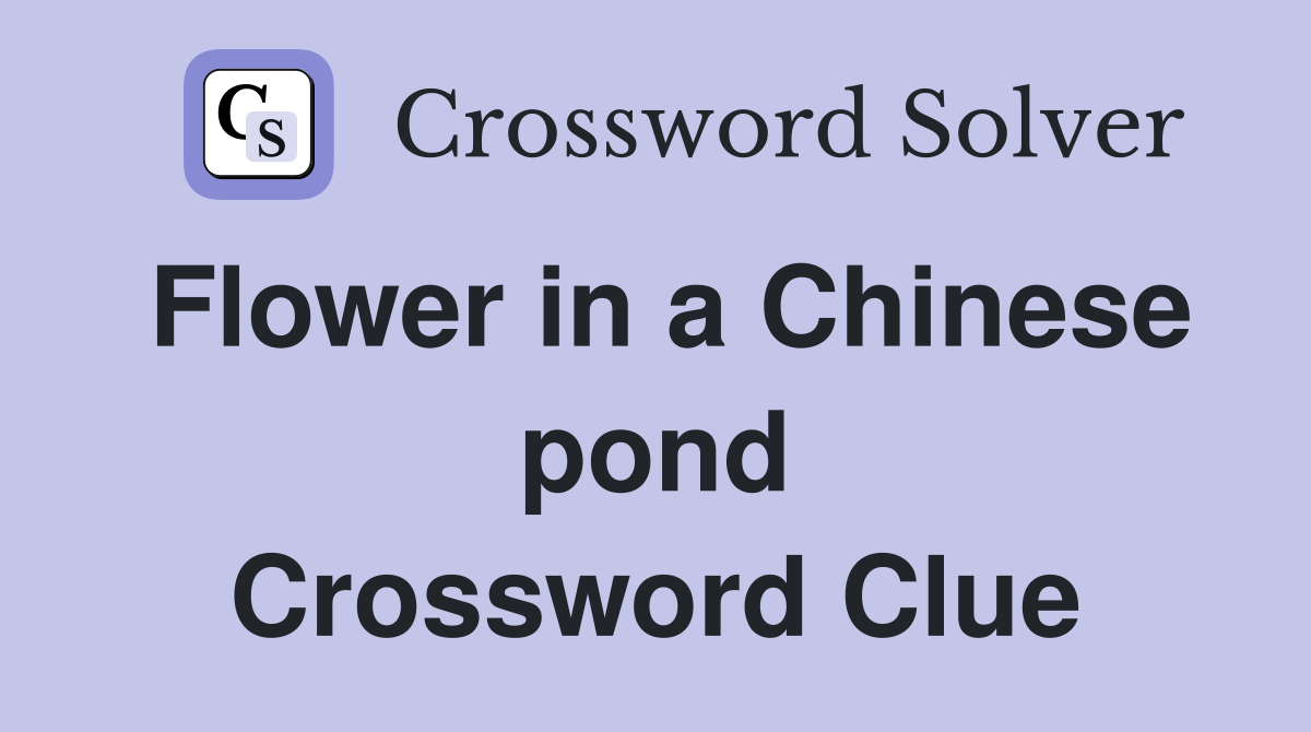 Flower in a Chinese pond Crossword Clue