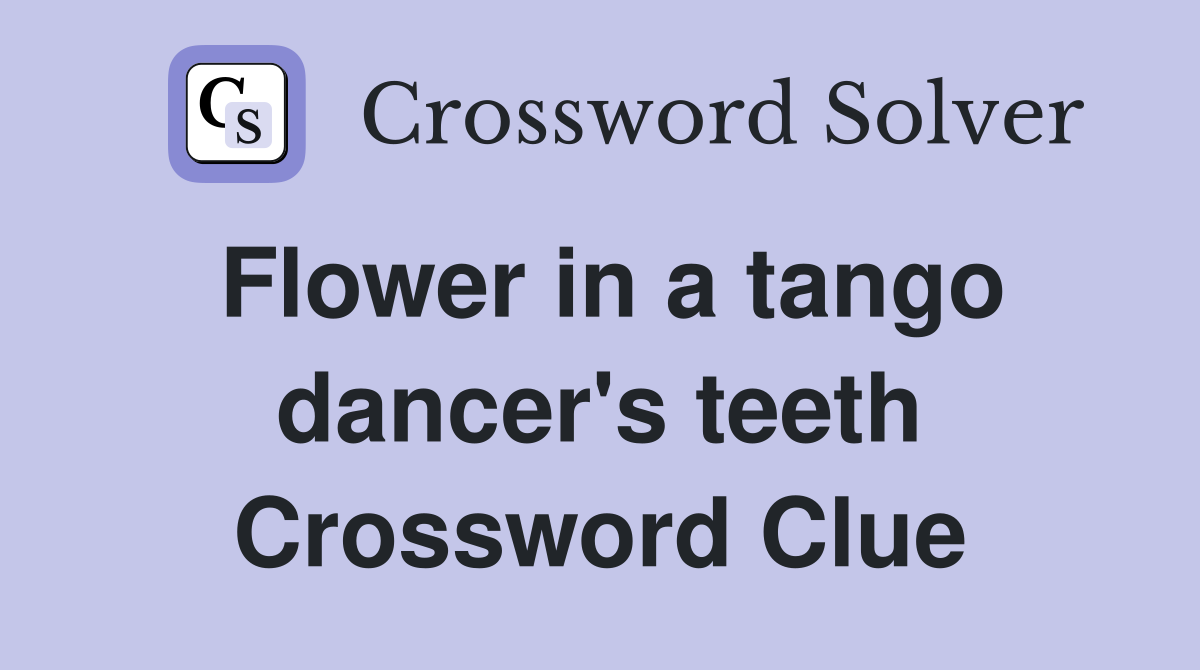 Flower in a tango dancer's teeth Crossword Clue