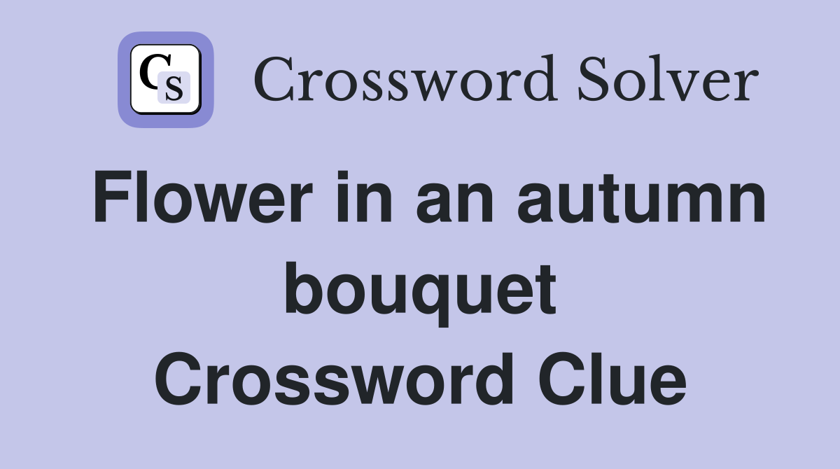 Flower in an autumn bouquet Crossword Clue