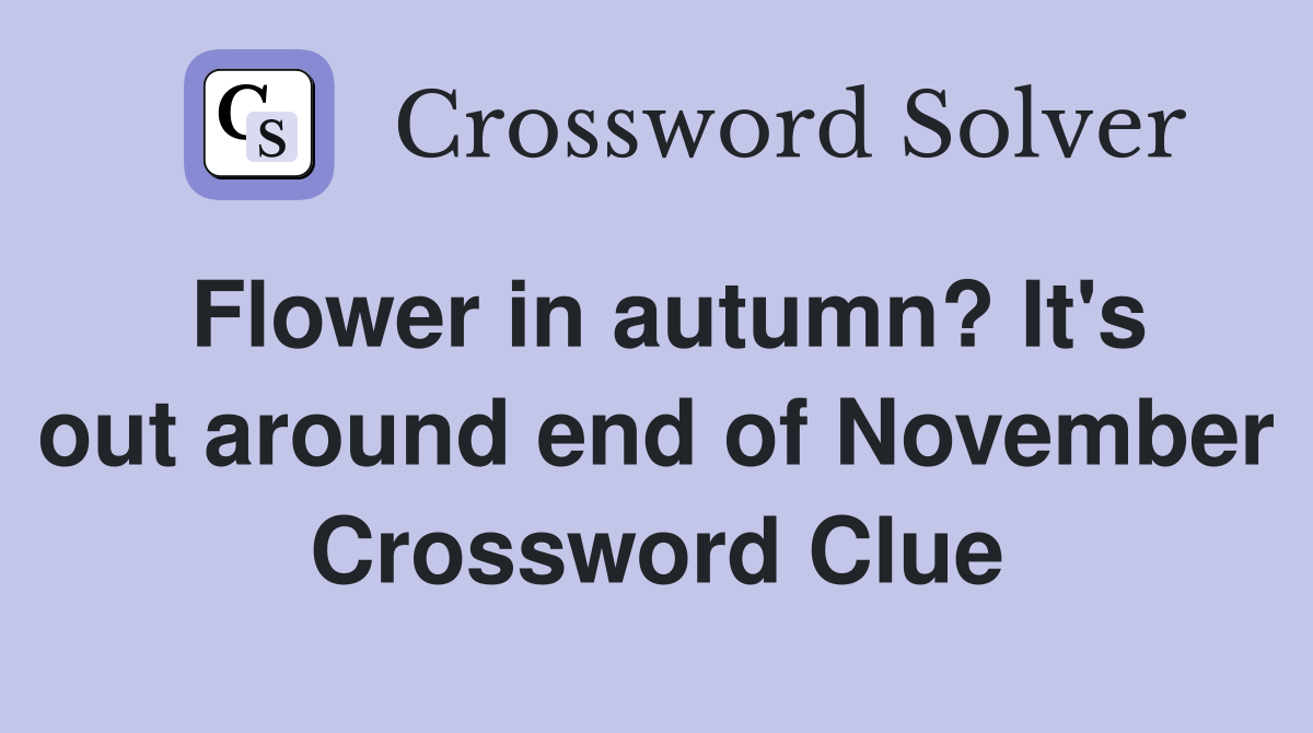 Flower in autumn? It's out around end of November Crossword Clue
