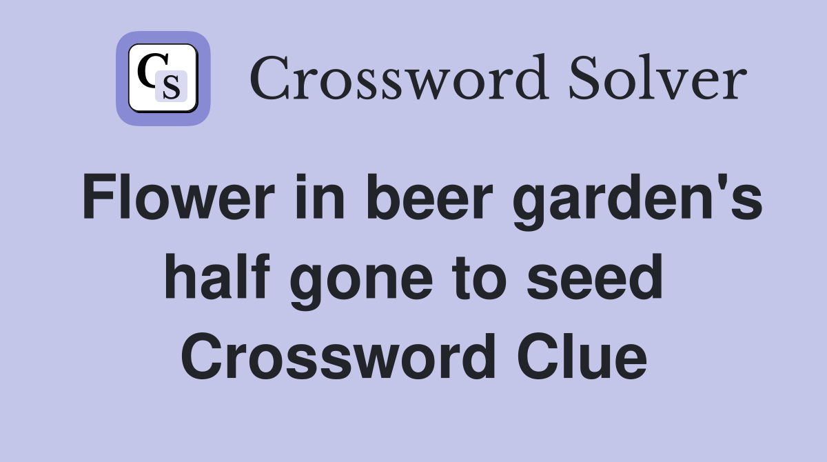 Flower in beer garden's half gone to seed Crossword Clue