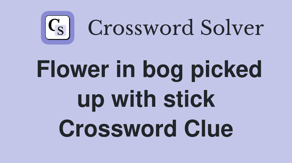 Flower in bog picked up with stick Crossword Clue
