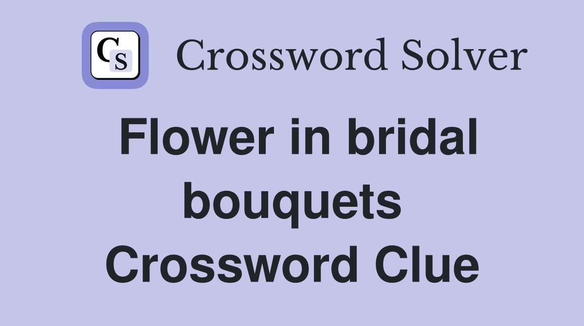 Flower in bridal bouquets Crossword Clue