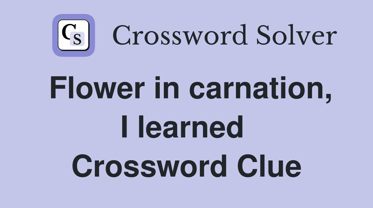 Flower in carnation, I learned  Crossword Clue