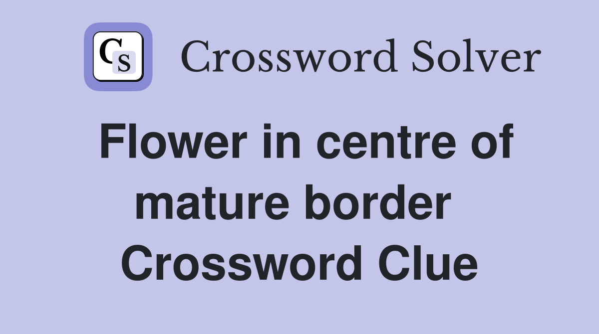 Flower in centre of mature border  Crossword Clue