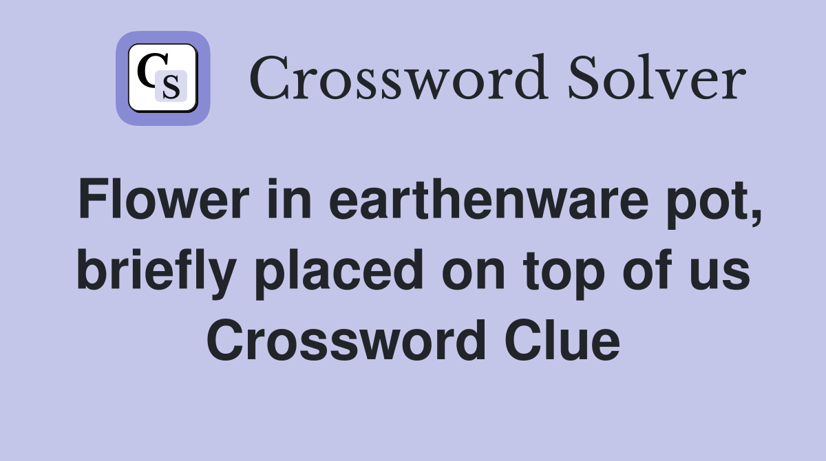 Flower in earthenware pot, briefly placed on top of us Crossword Clue