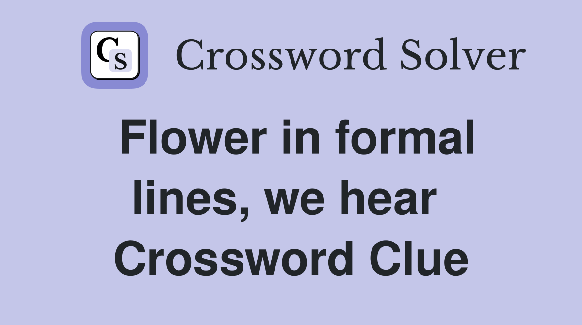 Flower in formal lines, we hear  Crossword Clue