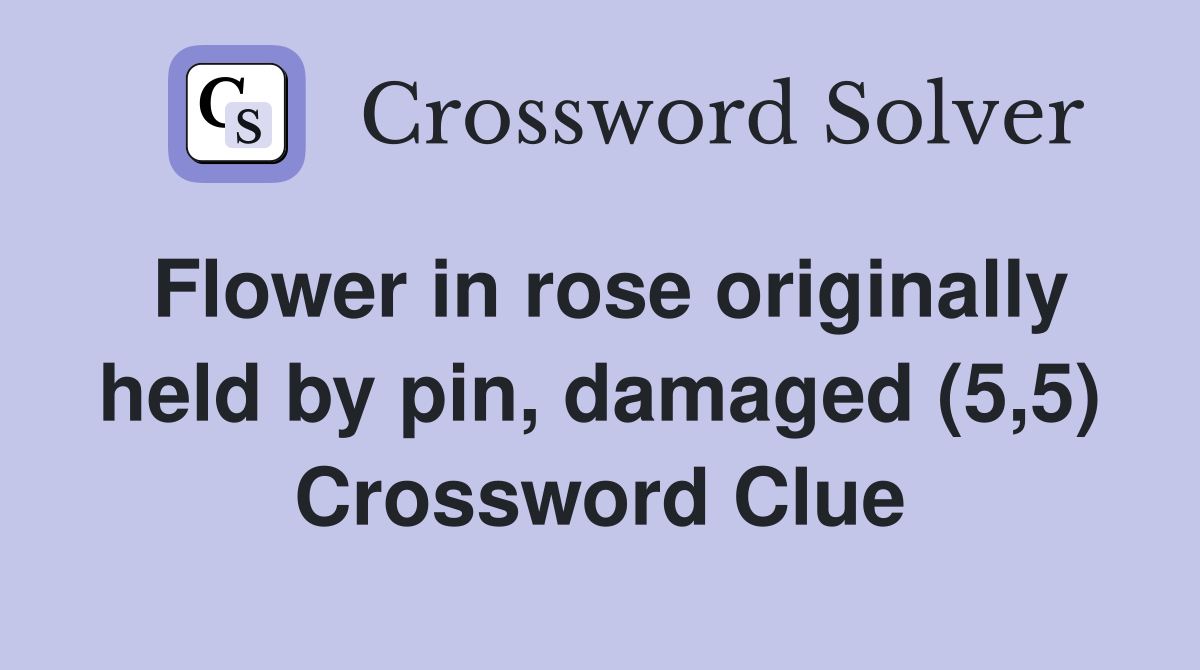 Flower in rose originally held by pin, damaged (5,5) Crossword Clue