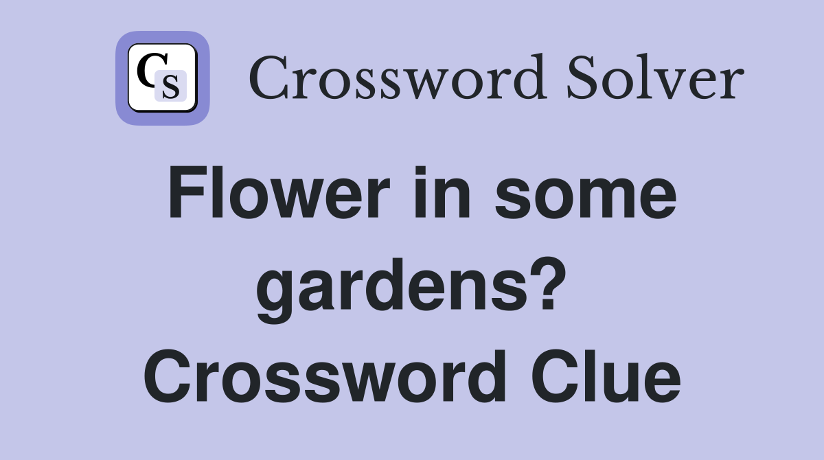 Flower in some gardens? Crossword Clue