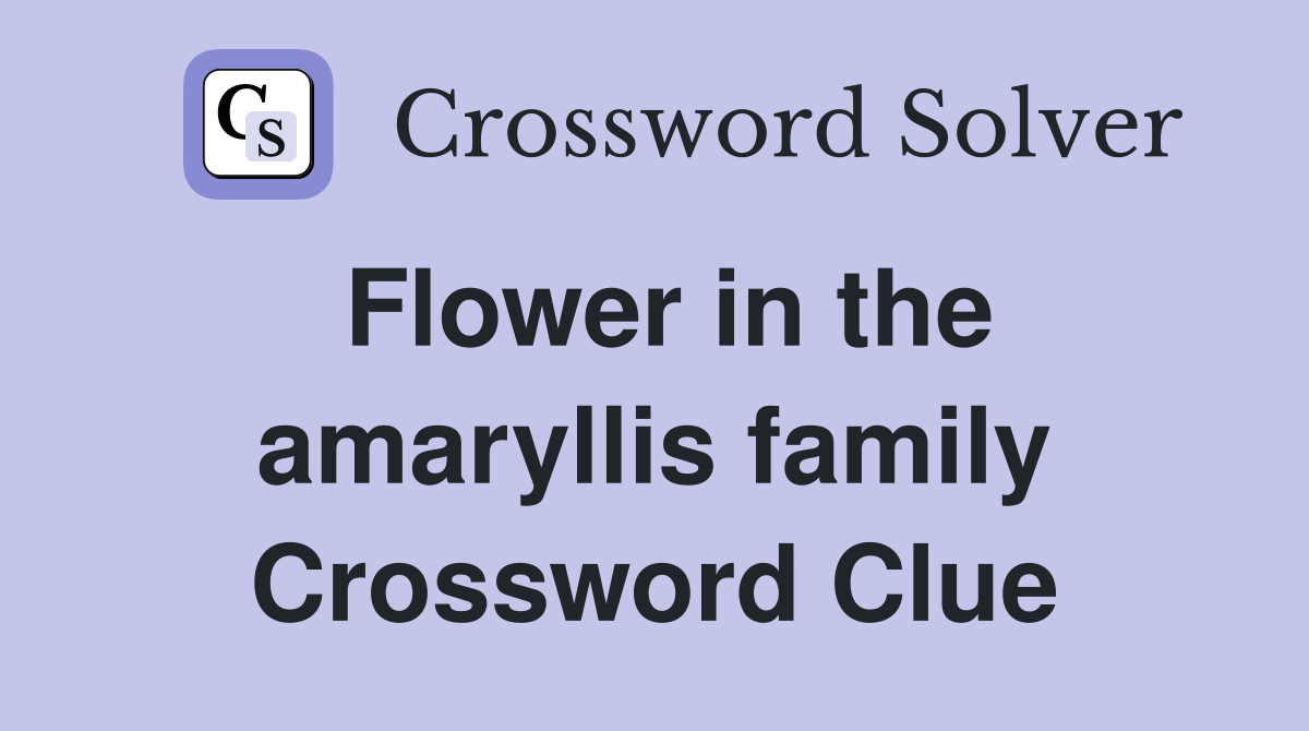 Flower in the amaryllis family Crossword Clue