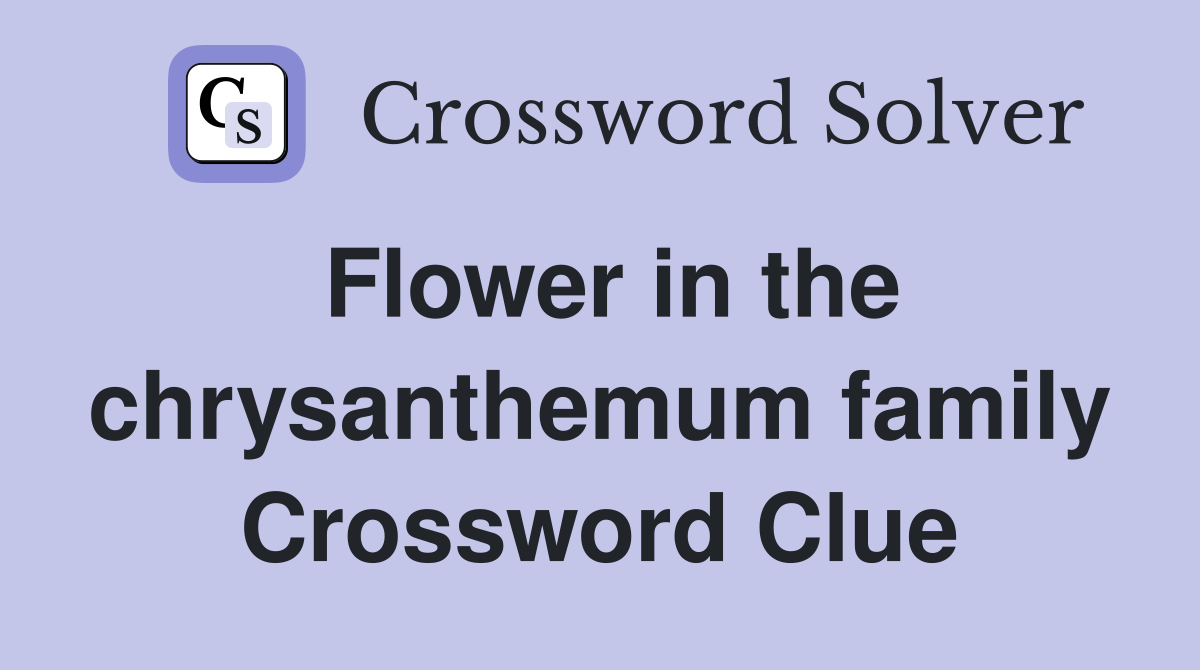 Flower in the chrysanthemum family Crossword Clue