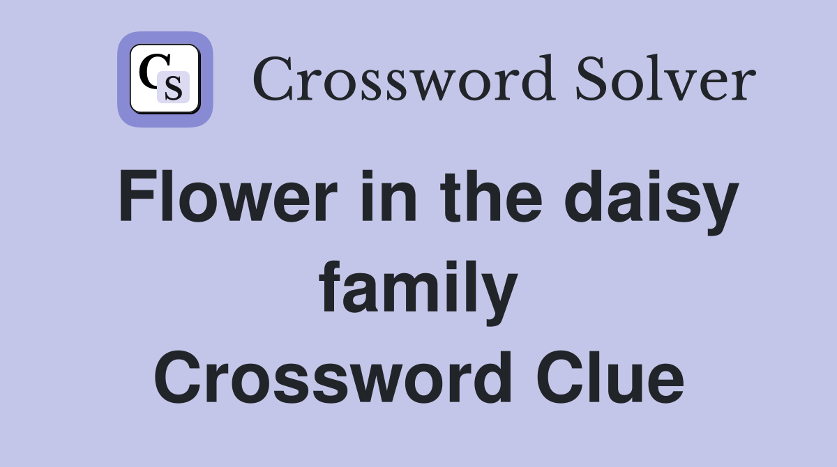 Flower in the daisy family Crossword Clue