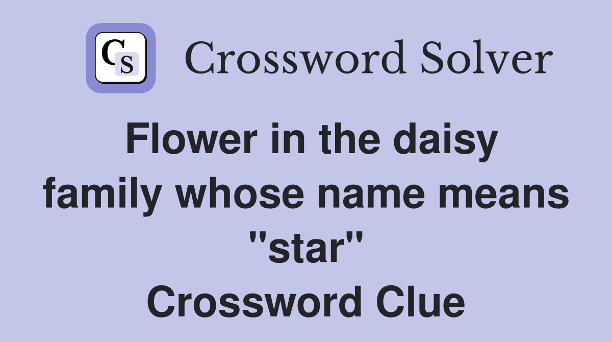 Flower in the daisy family whose name means "star" Crossword Clue