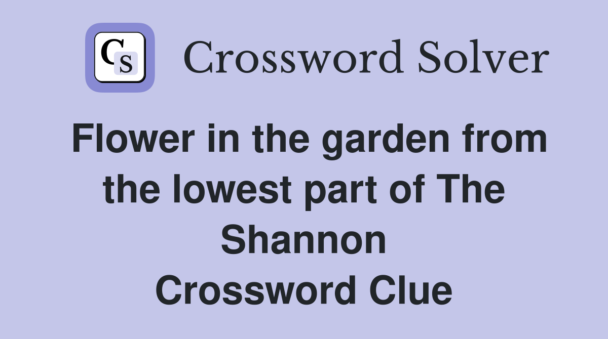 Flower in the garden from the lowest part of The Shannon Crossword Clue