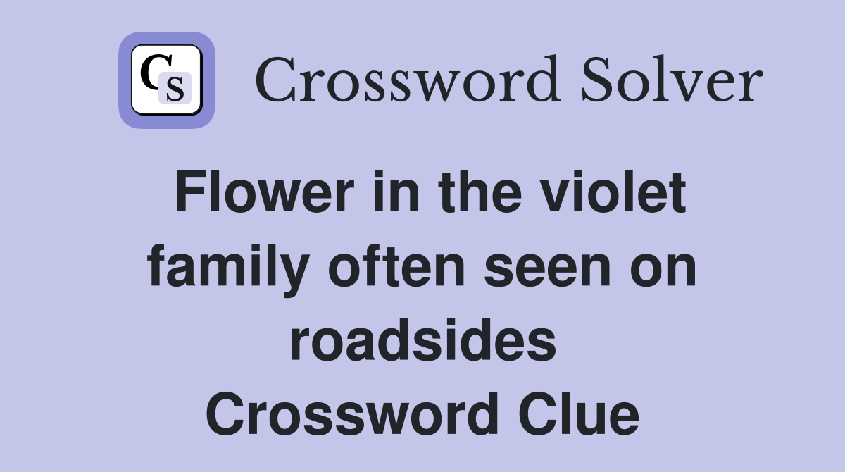 Flower in the violet family often seen on roadsides Crossword Clue