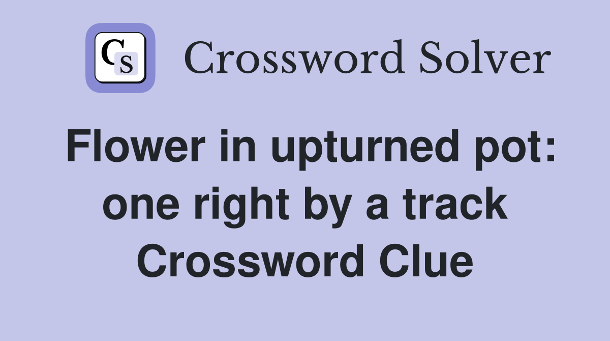 Flower in upturned pot: one right by a track Crossword Clue