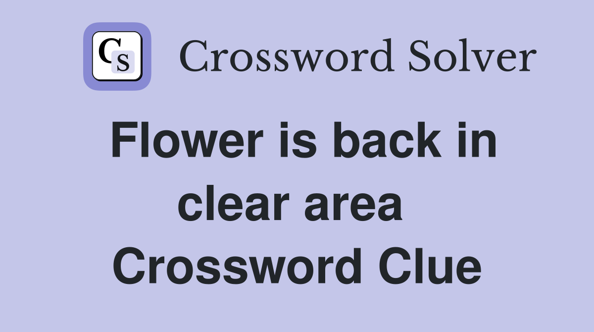 Flower is back in clear area  Crossword Clue