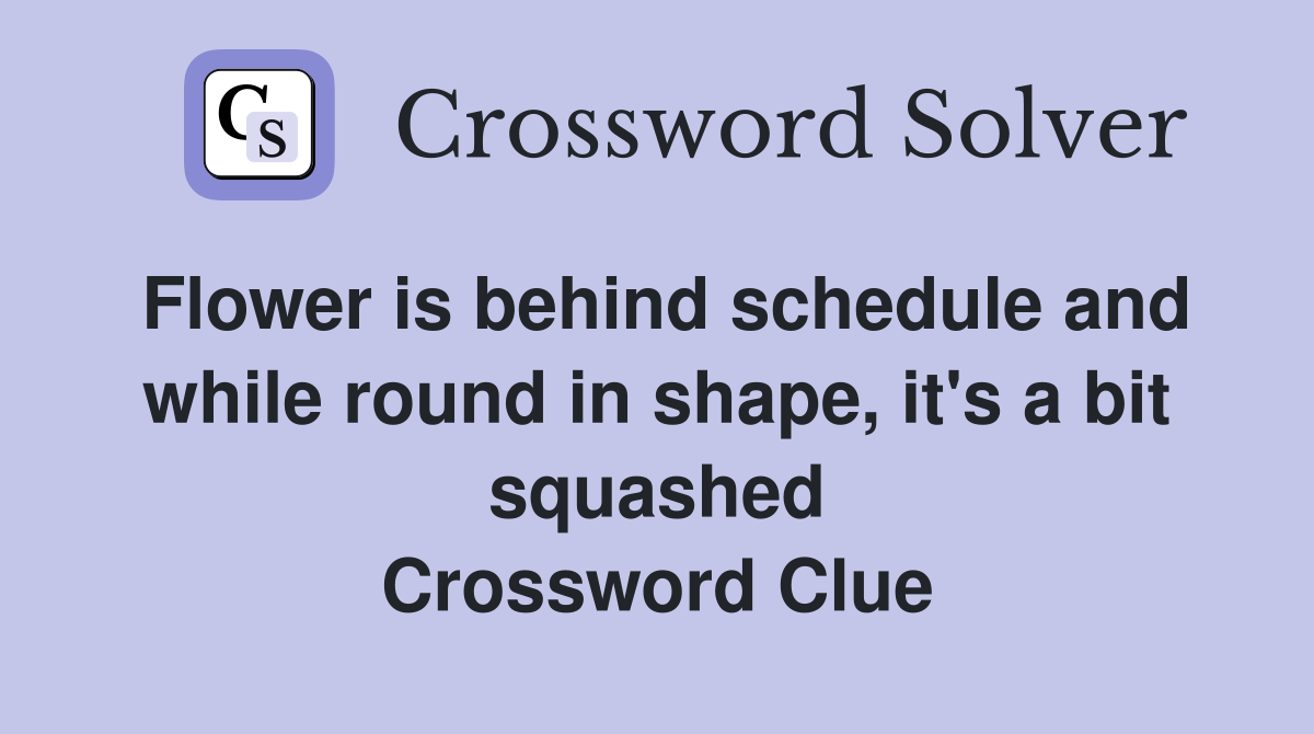 Flower is behind schedule and while round in shape, it's a bit squashed Crossword Clue
