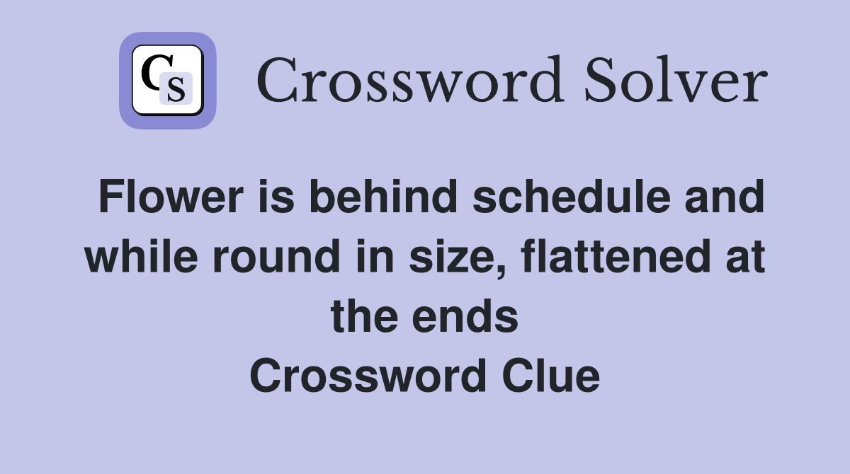 Flower is behind schedule and while round in size, flattened at the ends Crossword Clue