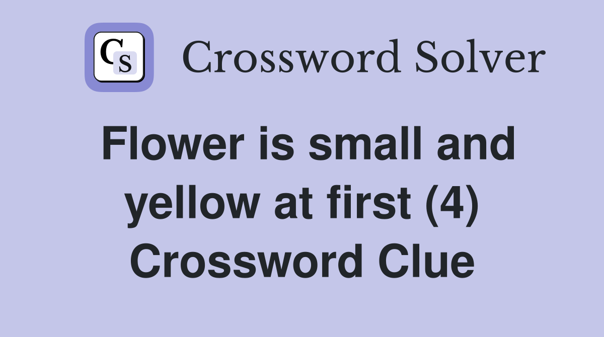 Flower is small and yellow at first (4) Crossword Clue