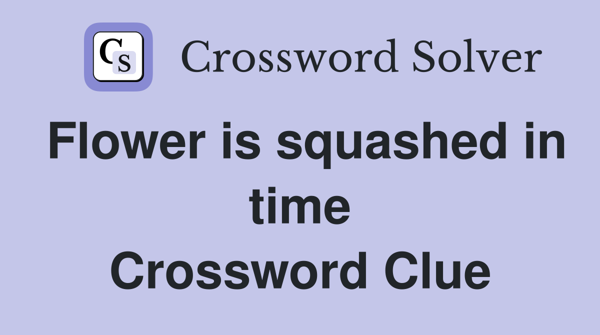 Flower is squashed in time Crossword Clue