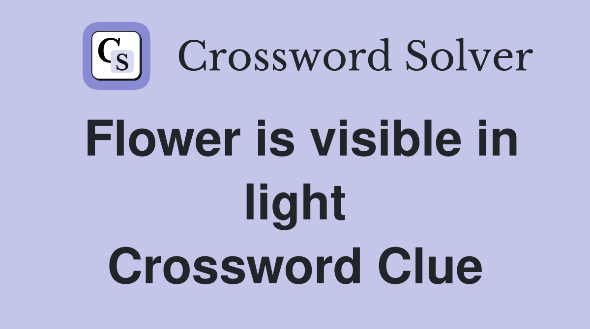 Flower is visible in light Crossword Clue