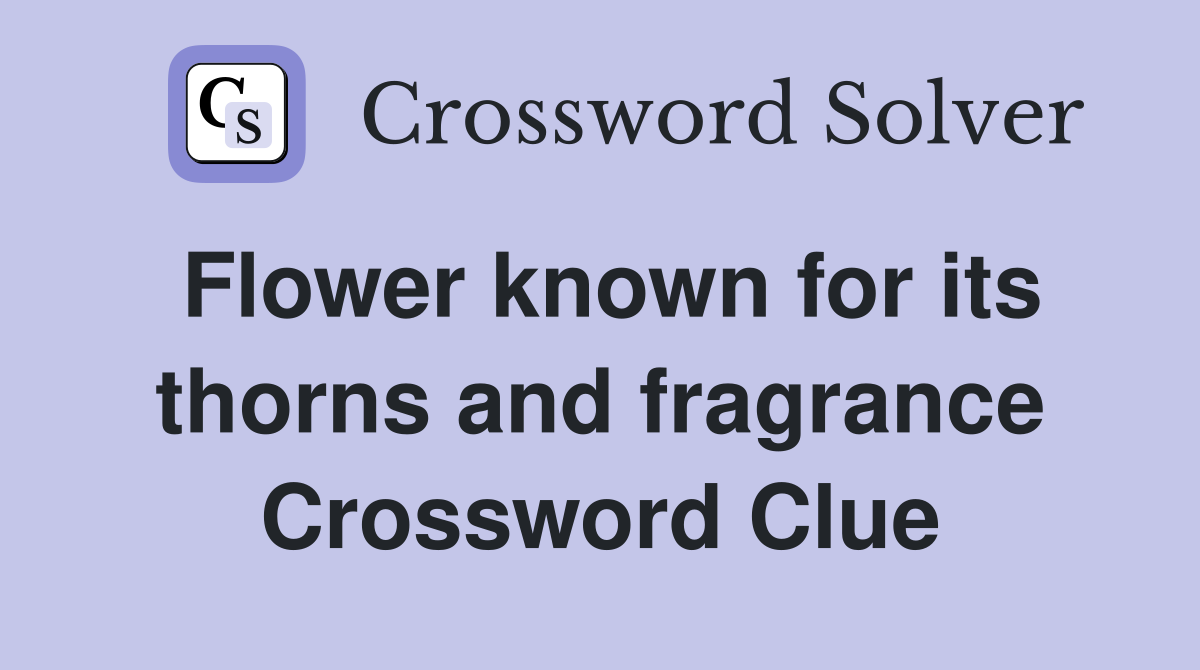 Flower known for its thorns and fragrance Crossword Clue