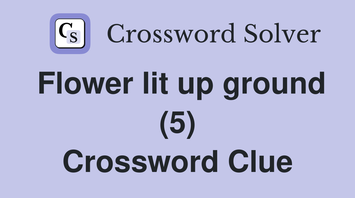 Flower lit up ground (5) Crossword Clue