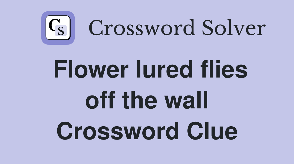 Flower lured flies off the wall Crossword Clue