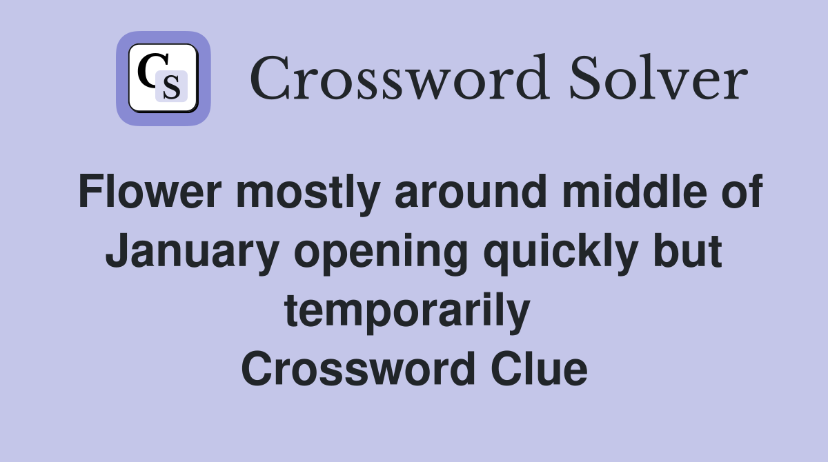Flower mostly around middle of January opening quickly but temporarily  Crossword Clue