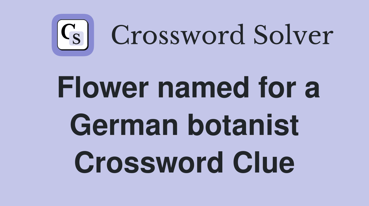 Flower named for a German botanist Crossword Clue