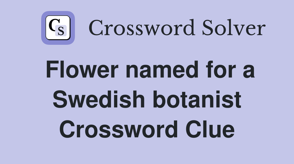 Flower named for a Swedish botanist Crossword Clue