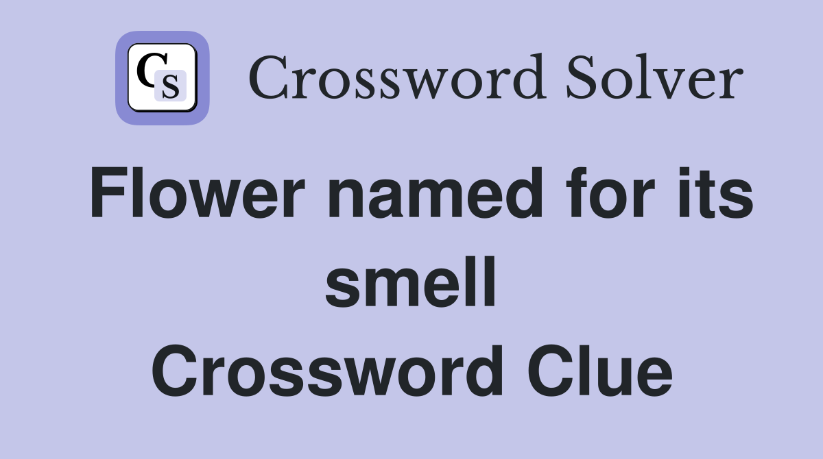 Flower named for its smell Crossword Clue