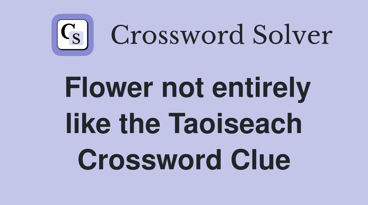 Flower not entirely like the Taoiseach Crossword Clue