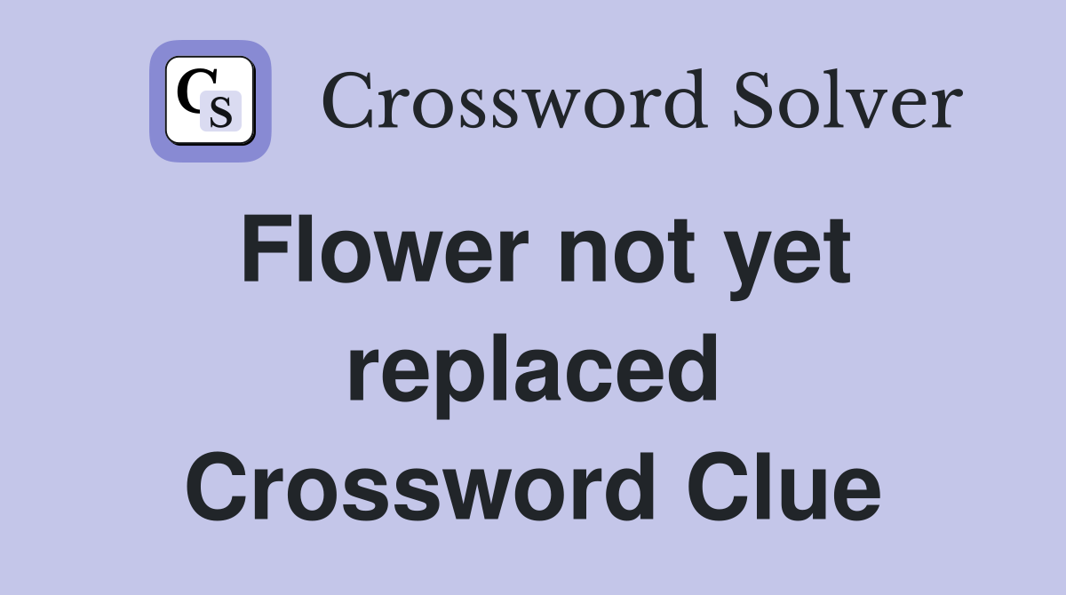 Flower not yet replaced Crossword Clue