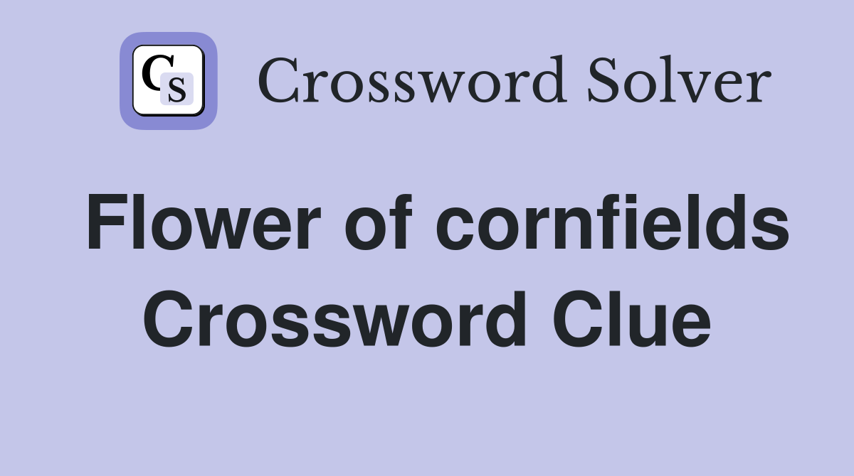 Flower of cornfields Crossword Clue