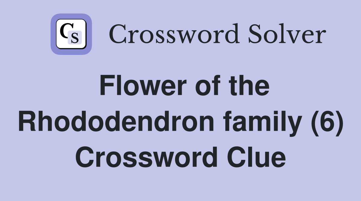 Flower of the Rhododendron family (6) Crossword Clue