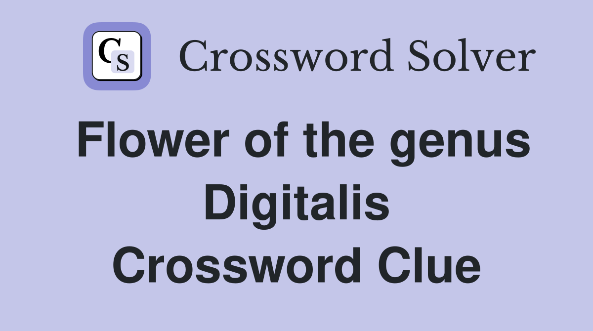 Flower of the genus Digitalis Crossword Clue
