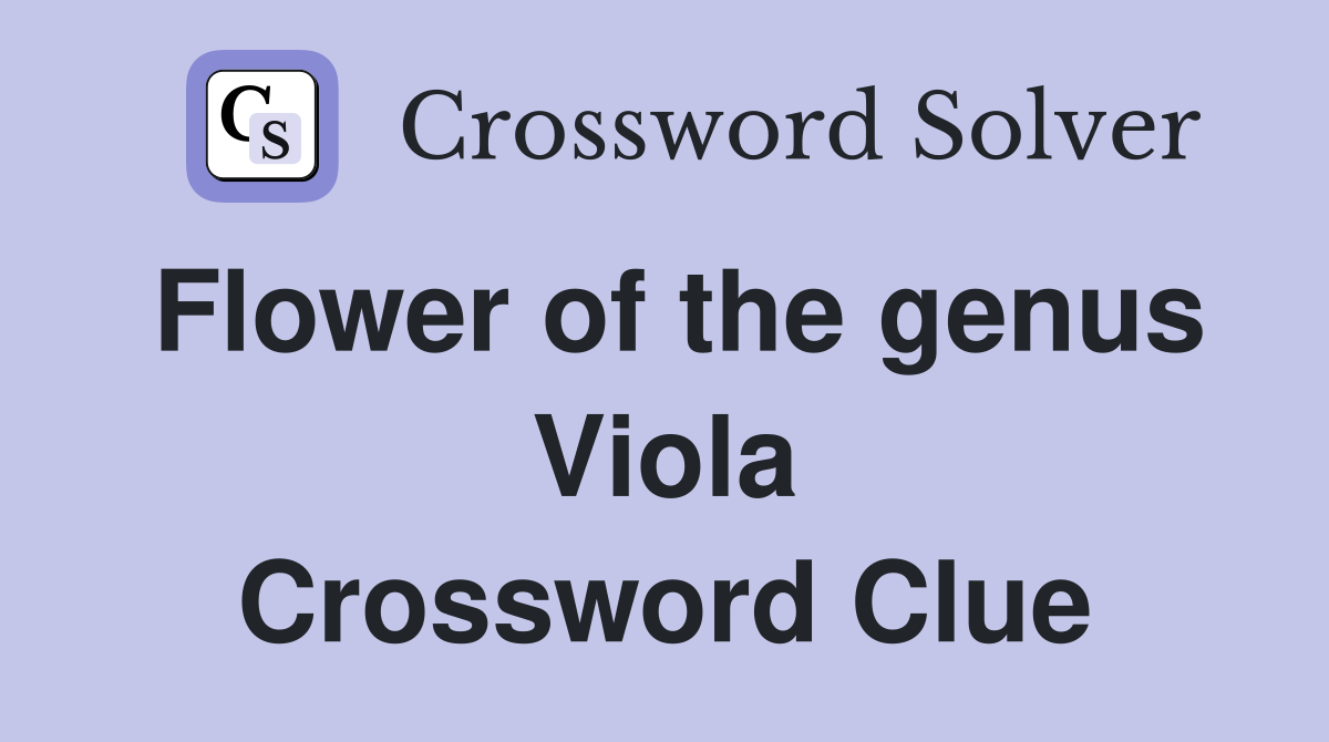 Flower of the genus Viola Crossword Clue