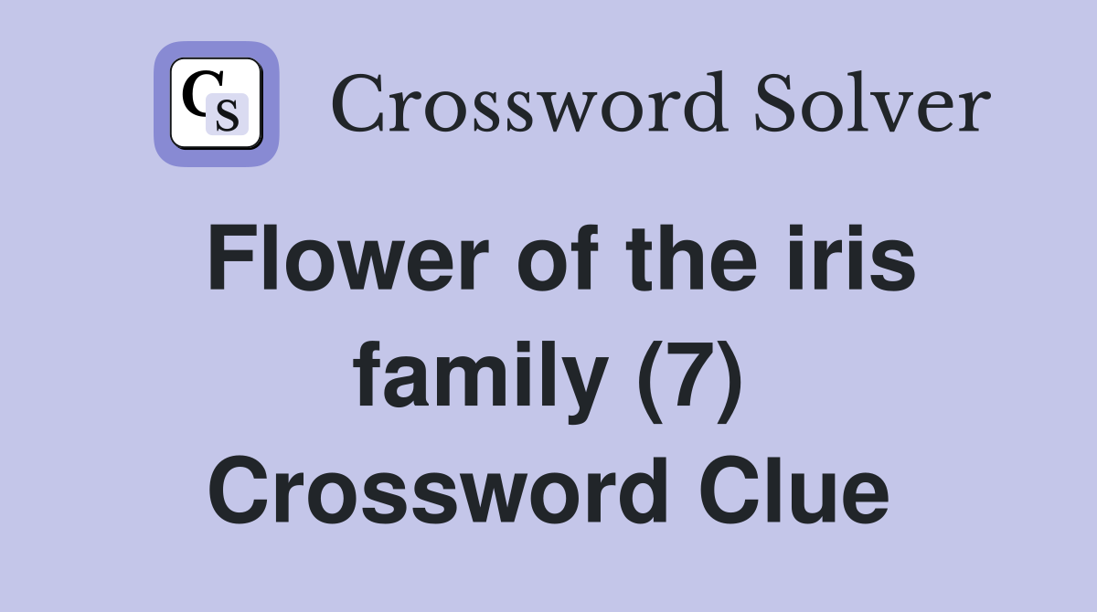 Flower of the iris family (7) Crossword Clue