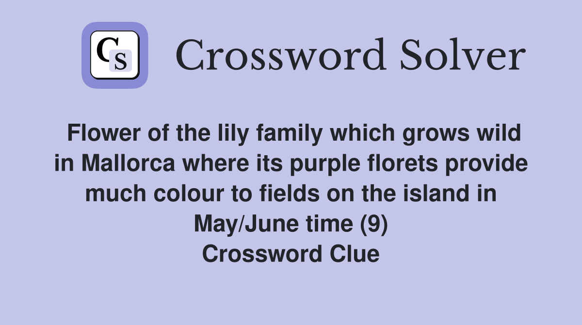 Flower of the lily family which grows wild in Mallorca where its purple florets provide much colour to fields on the island in May/June time (9) Crossword Clue