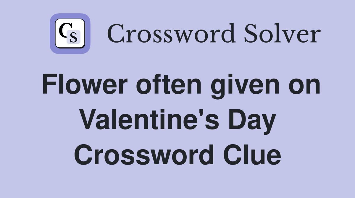 Flower often given on Valentine's Day Crossword Clue